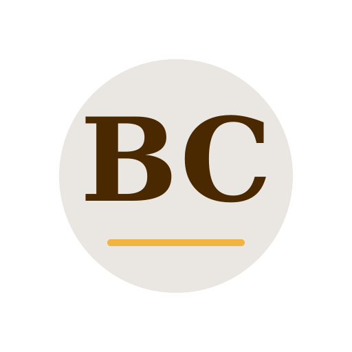 Beno Chimney Services logo